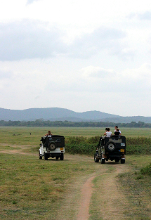 Activities Image